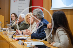 Ethics committees, citizenship and deliberation