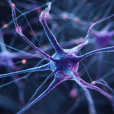 Vacuna contra la enfermedad de Alzheimer